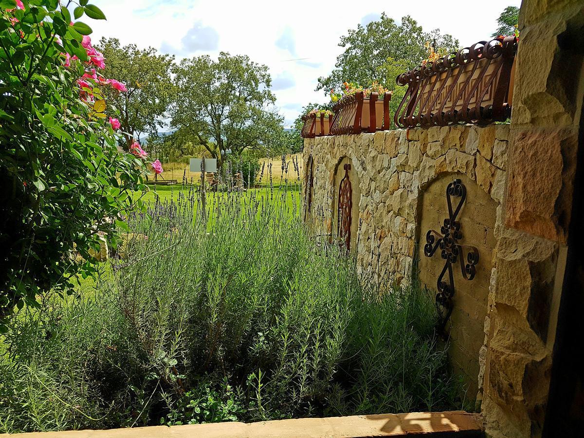 Вилла Affi Lande Boetiek Guestfarm Фурисбург Экстерьер фото